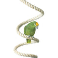 TRIXIE Corde spirale à suspendre 50 cm Ø 21 mm pour grandes perruches et perroquets