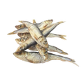 Sprat entier