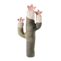 Summer cactus