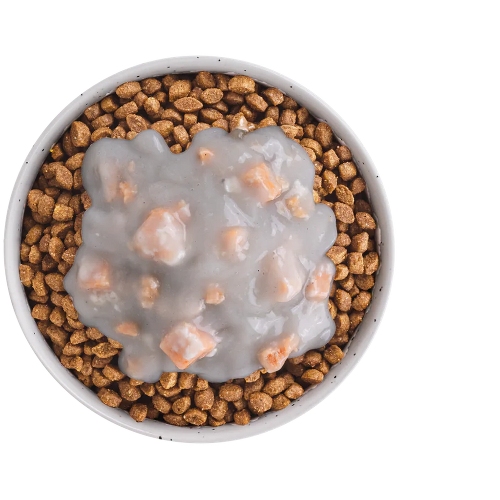 EQUILIBRE & INSTINCT Sauce crémeuse au dés de saumon Chat Adulte 90g