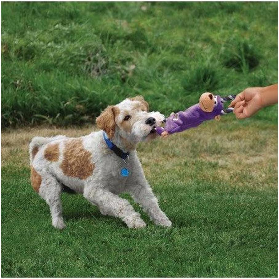 KONG Tugger Knots Frog Taille S/M Jouet de Traction Interactif pour Chien