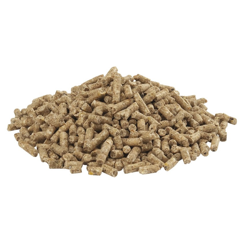 VERSELE-LAGA Country's Best Gold 4 Gallico Pellet Granulés de Ponte pour Poules 5kg