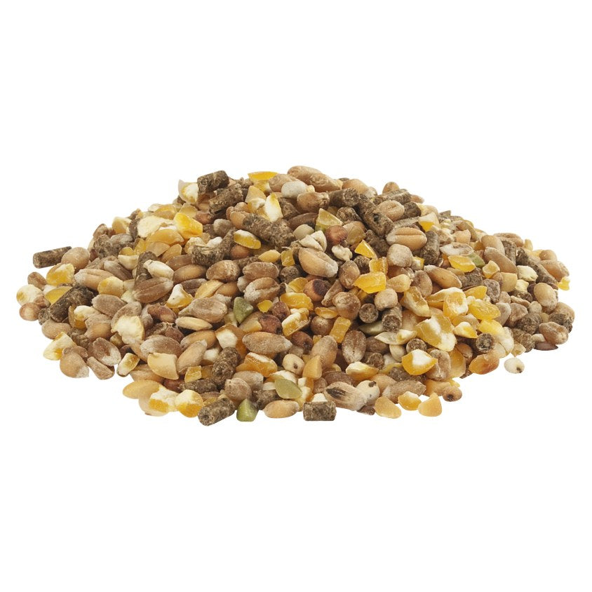 VERSELE-LAGA Country's Best Gold 4 Mix Mélange de Graines pour Poules Pondeuses 5kg