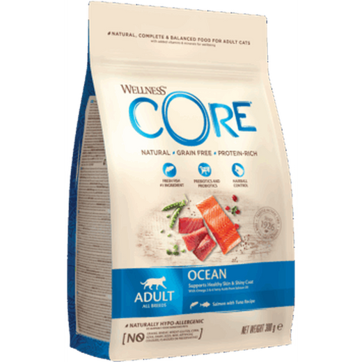 WELLNESS CORE Chat Croquettes Ocean Saumon & Thon
