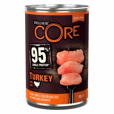 WELLNESS CORE 95% Dinde et Chou Frisé 400g