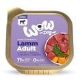 Wow adult agneau