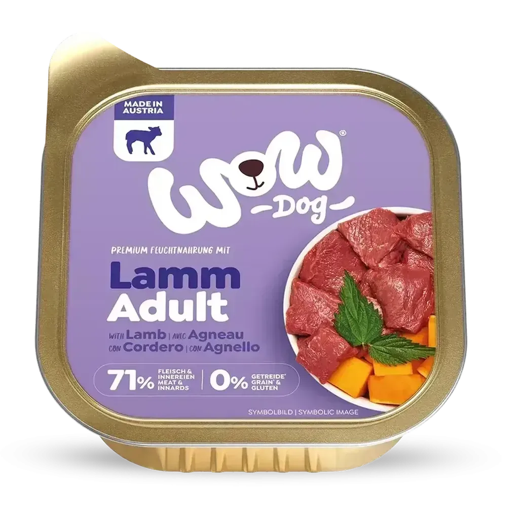 Wow adult agneau