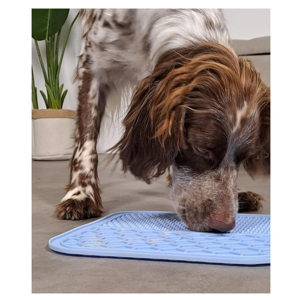 ZOLUX Tapis à Lécher en Silicone avec Ventouses pour Chien M 21x21cm Bleu